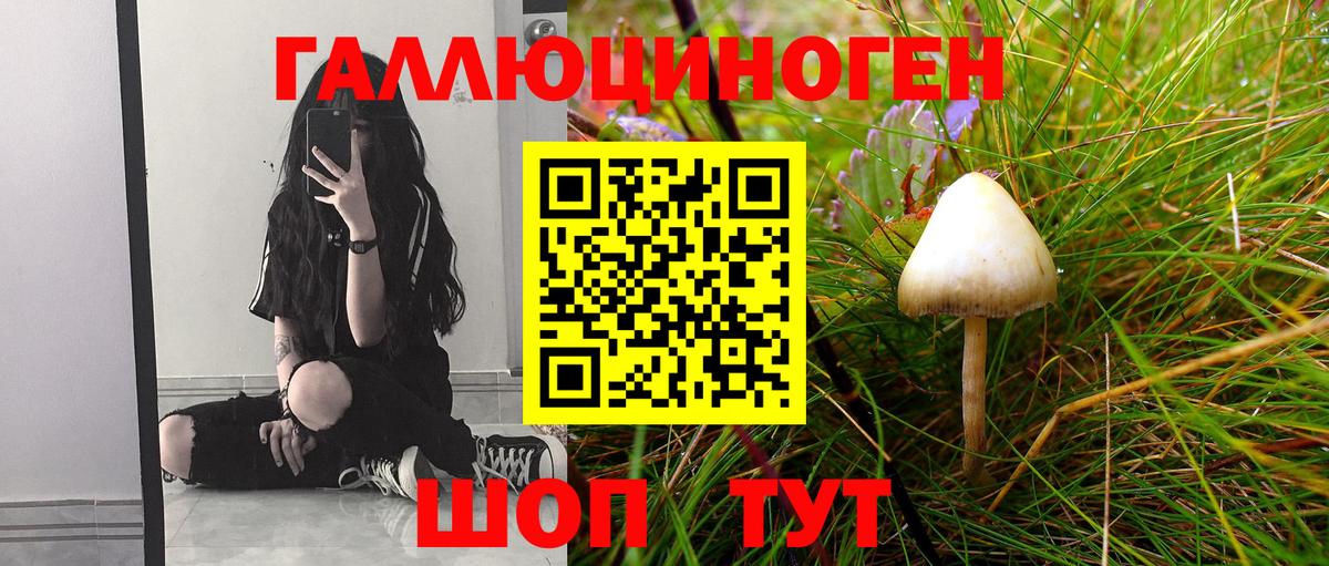 Псилоцибиновые грибы Magic Shrooms Печора