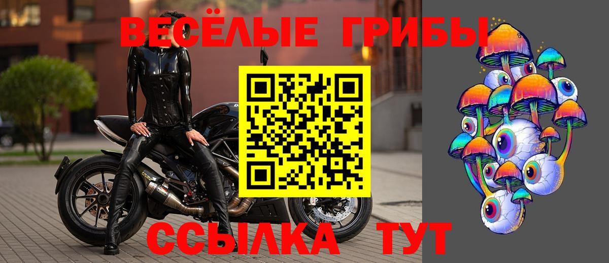 Псилоцибиновые грибы MAGIC MUSHROOMS  Вход с VPN  Печора 